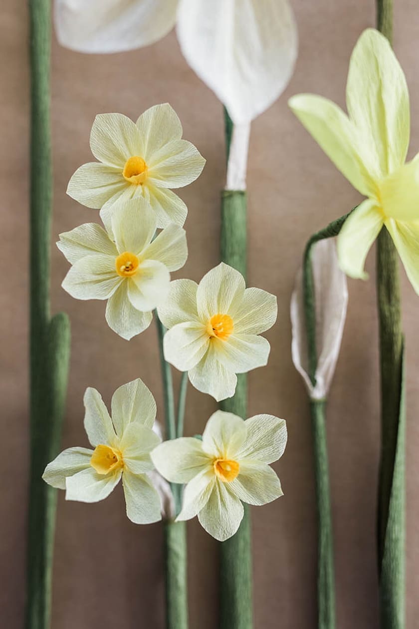 DIY Paper Daffodil Tutorial