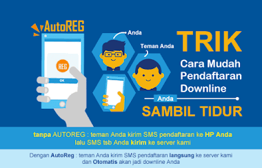 Fitur Autoreg Bisnis Pulsa Murah