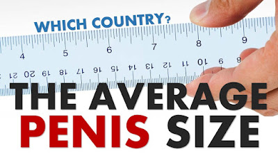 What is the average penis size in the united states?