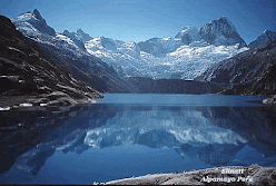 GIF 4