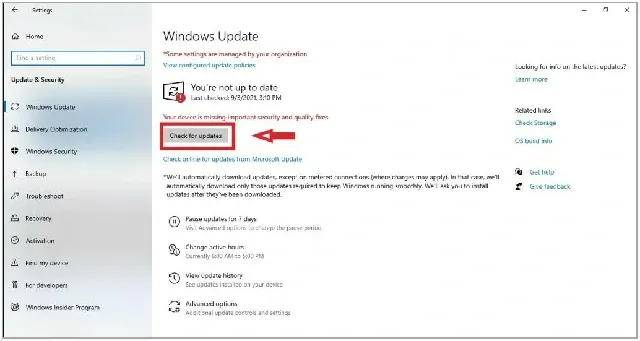 كيفية الترقية والتحديث الي ويندوز windows 11 دليلك الكامل