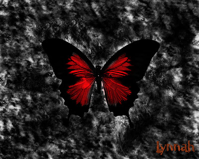 amazing-butterfly-with-a-smokey-background-gothic-wallpaper