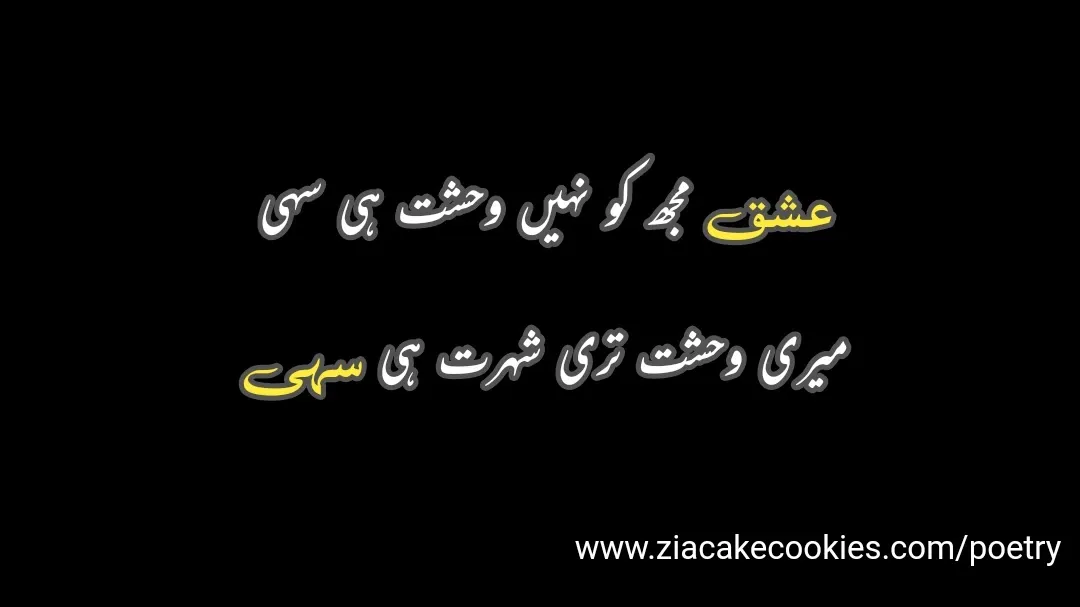 shayari in urdu text, urdu shayari ishq