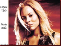 aaa_coyote_ugly_4_hot_photos