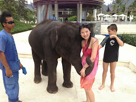 Elephant, Outrigger Laguna Phuket Beach Resort