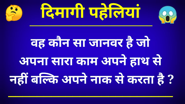 मजेदार जासूसी पहेलियां । Majedar Jasoosi Paheliyan ।
