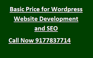 Basic Price for Wordpress Website Development and SEO