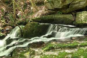 Rurikei Valley