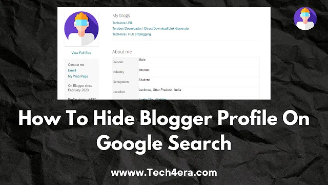 How To Hide Blogger Profile On Google Search