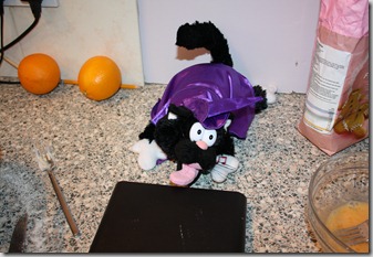IMG_1290 IMG_1290