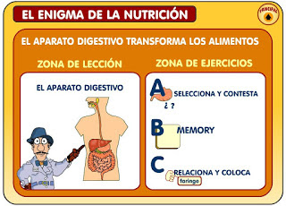 https://www3.gobiernodecanarias.org/medusa/contenidosdigitales/programasflash/cnice/Primaria/Conocimiento/enigma_nutricion/enigma/aparatodigestivo.swf