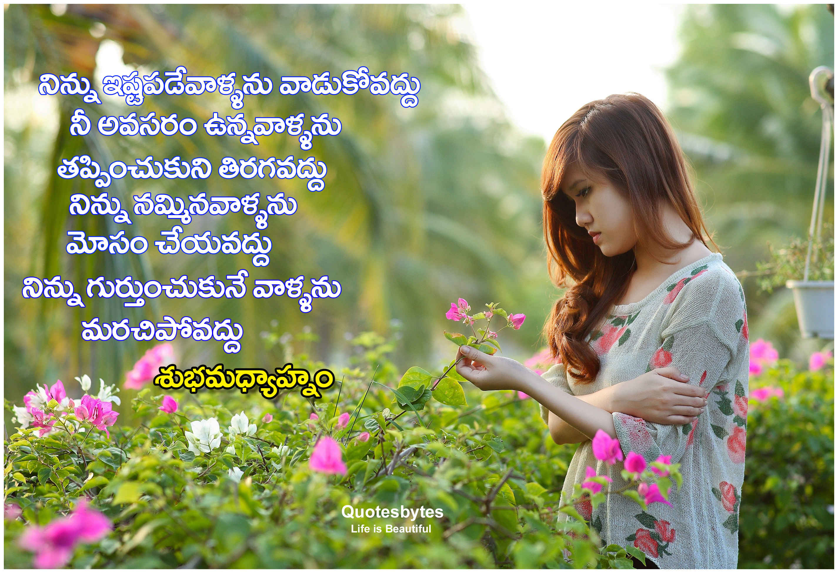 Good Afternoon Quotes in Telugu