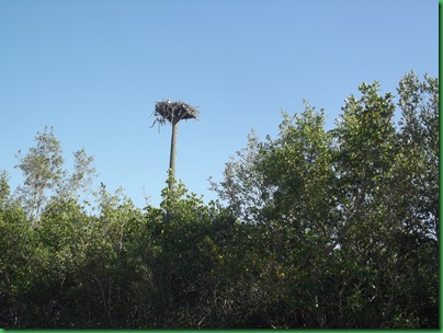 Sanibel Island 060