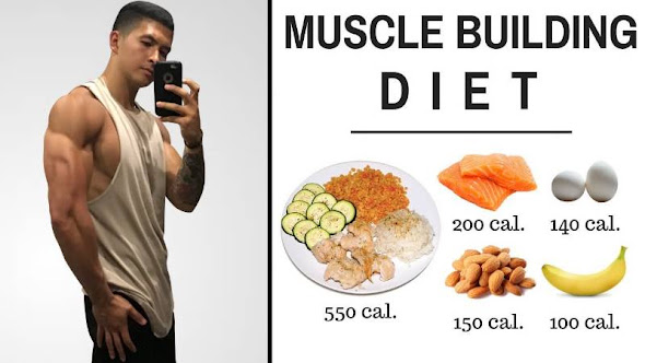 How To Increase Muscle Mass