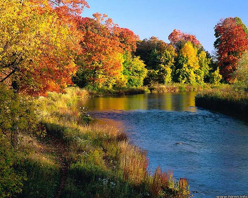 wallpapers nature 3d. 3d nature wallpaper. wallpaper