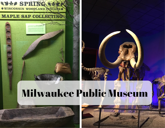 Exploring Natural History and Culture at the Milwaukee Public Museum 