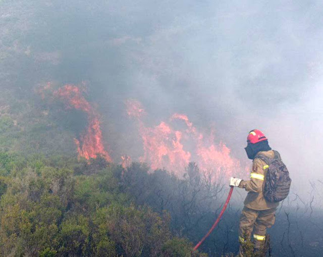  ΚΥΘΗΡΑ:ΚΑΛΥΤΕΡΗ Η ΕΙΚΟΝΑ ΣΤΟ ΜΕΤΩΠΟ ΤΗΣ ΠΥΡΚΑΓΙΑΣ