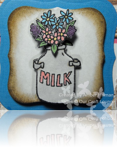 Milkcloseupajhcopy