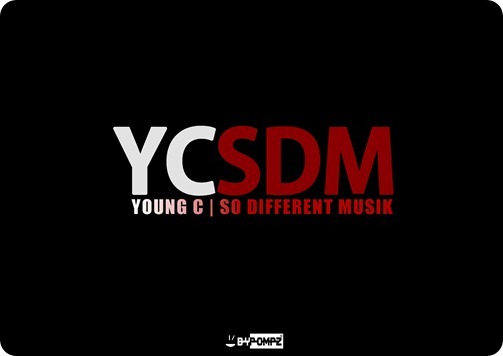 YCSDM