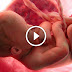 Life is a Miracle! Baby Growing In Mommy's Womb