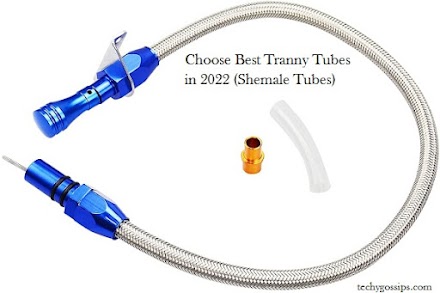 How to Choose Best Tranny Tube + Shemale Tube in 2023 & 2024