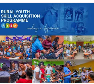Call for Applications: Rural Youth Skill Acquisition Programme for Nigerian Youths (receive N50,000 monthly stipend)
