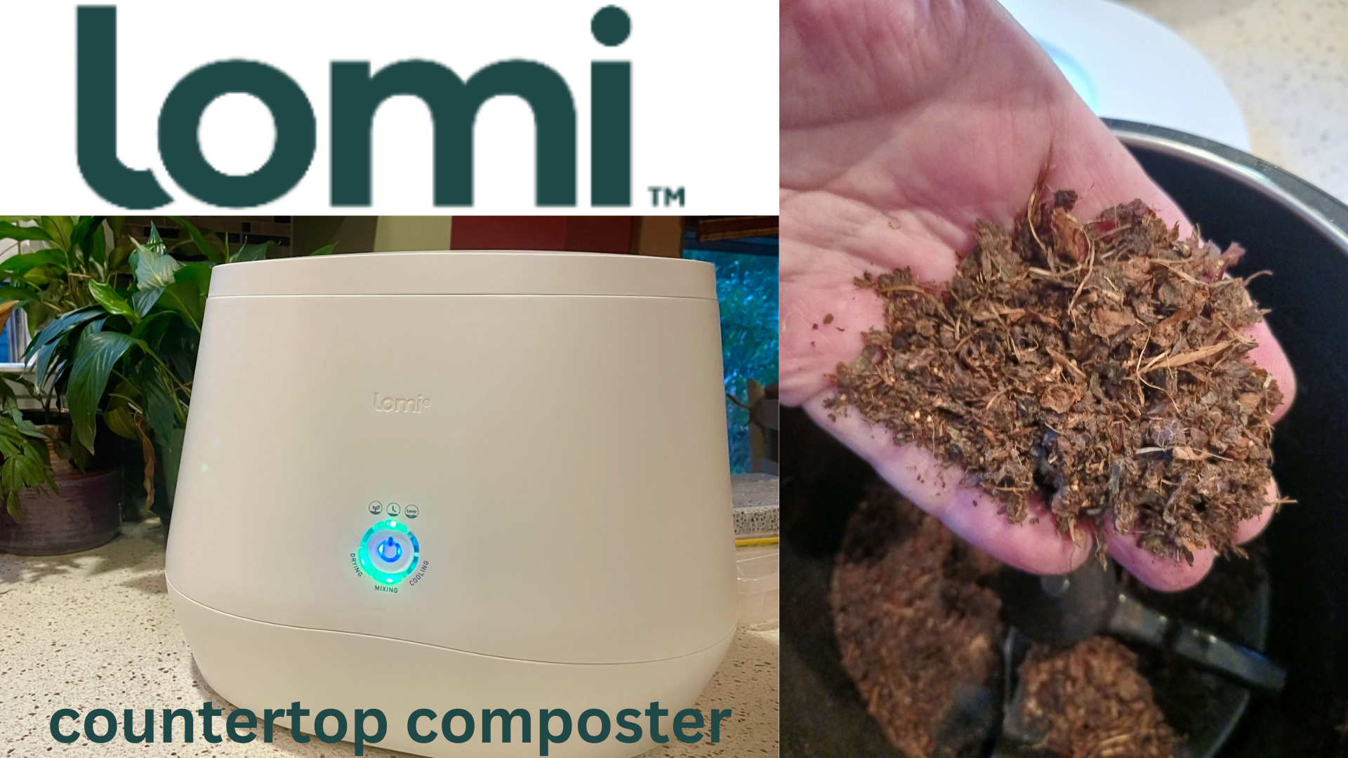 Review: The Lomi by Pela Composter Is Best in Class