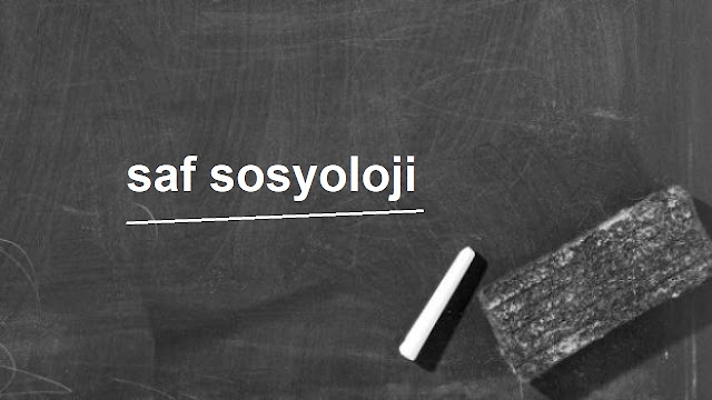 saf sosyoloji