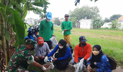 Babinsa 0816/03, Bersama Dinas POPT Lakukan Pengendalian Hama Tikus