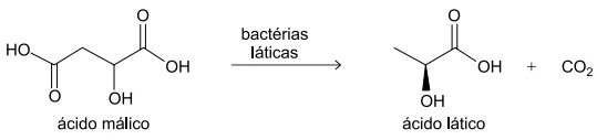 A segunda etapa de fermentação é denominada fermentação malolática e o ácido málico presente na mistura das uvas prensadas é transformado em ácido lático e dióxido de carbono.