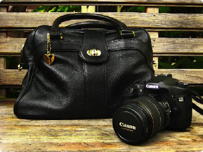 Camera  Dslr on My Quest For A Fashionable Camera Bag   Jason   Michelle   Carter