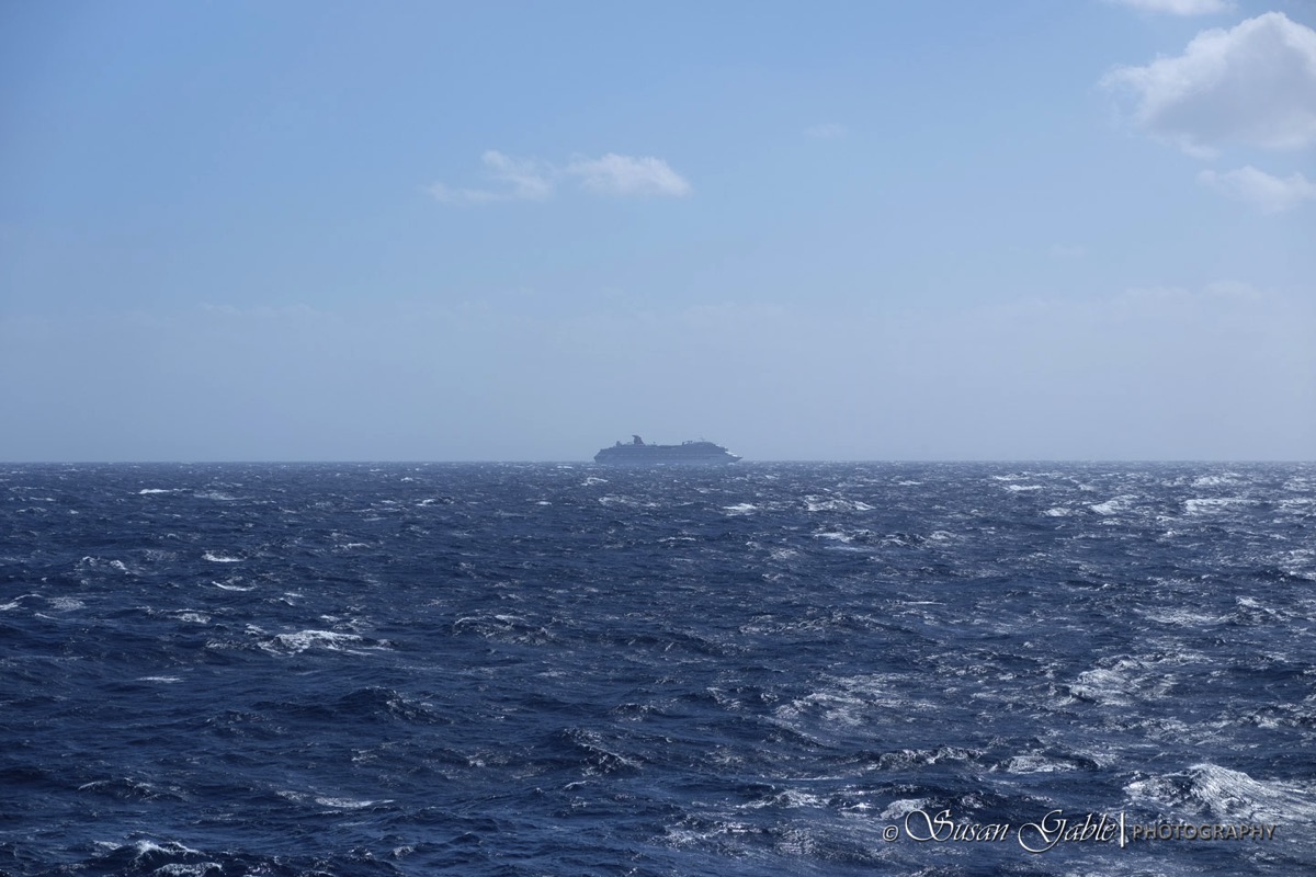 Sea 5 F2352