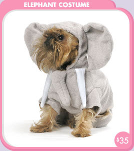 Dog Elephant Costume2