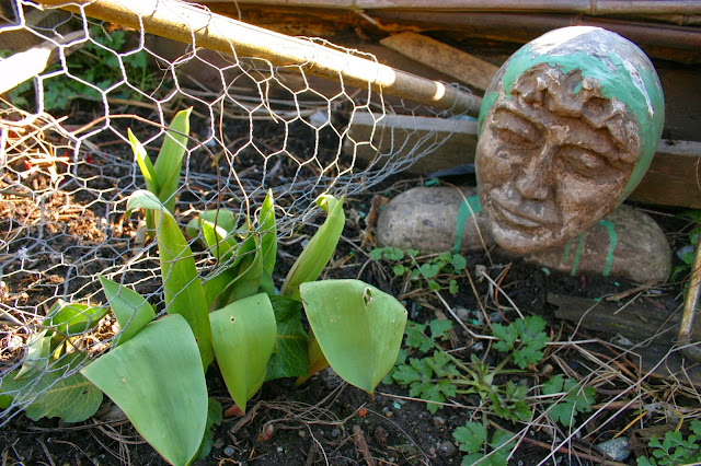 Garden decor with found objects: head sculpture