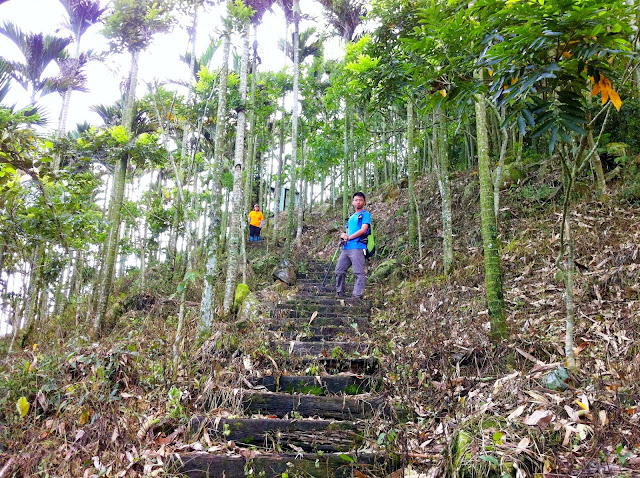 雨社山下山