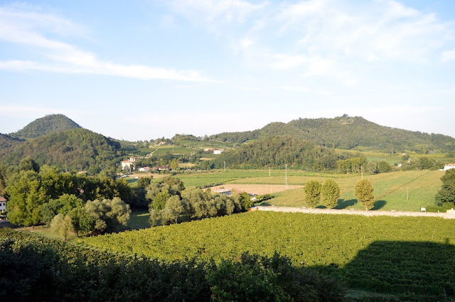 degustazione colli euganei cantine aperte