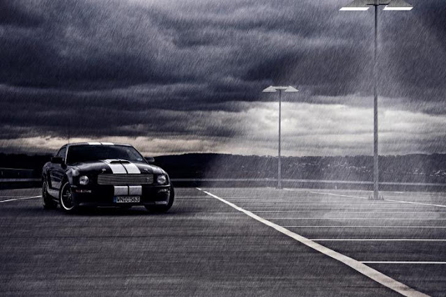 Mustang Gt Wallpaper For Android Phones