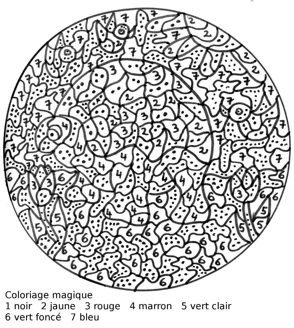 coloriage magique imprimer grande