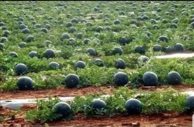 سبق آموز 