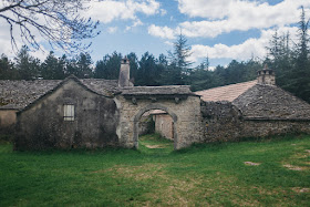 La forêt domaniale du Causse Noir