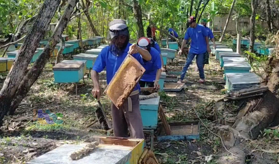 usaha sampingan di desa