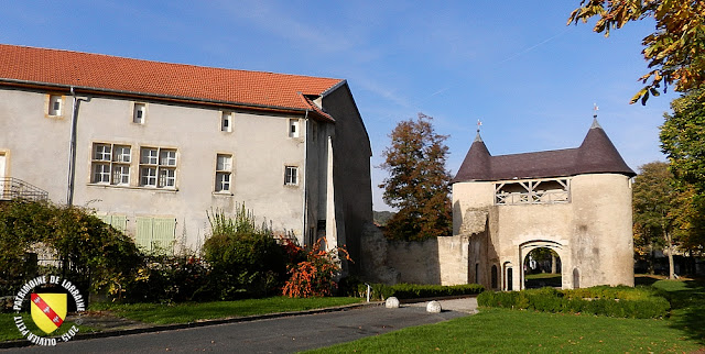 VIC-SUR-SEILLE (57) - Château épiscopal