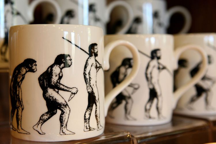 Evolusi Manusia, Apakah memang Fakta atau Teori Belaka?