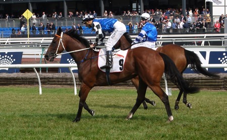 race 7_brook road_i am gypsy