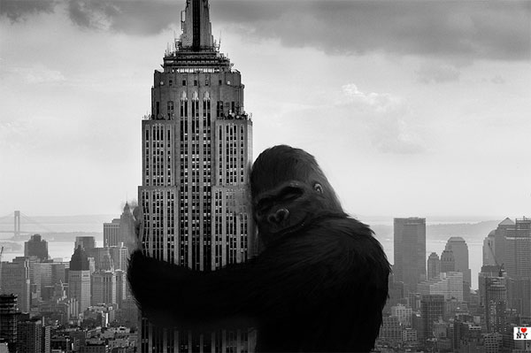 EMPIRE STATE NO CINEMA - KING KONG