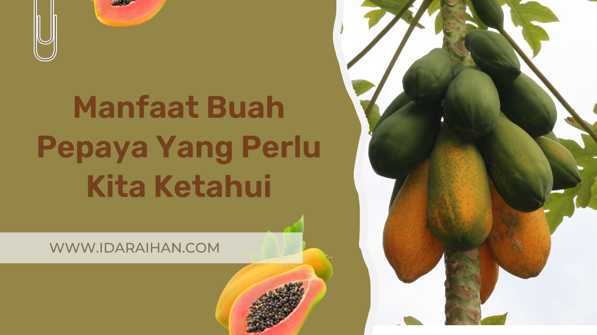 Manfaat+Buah+Pepaya