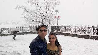 shimla live snowfall