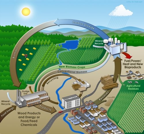 Pros And Cons Of Using Biomass Energy Image