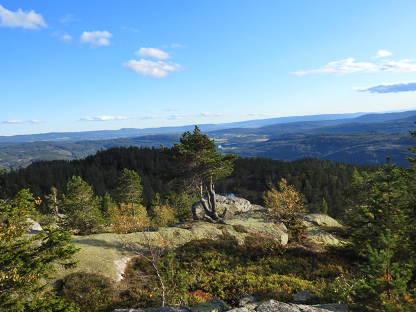 Fjøsvikfjellet somdalskollen kongsgardskollen varden fjellsetera