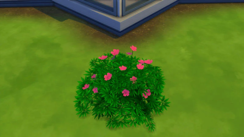 The Sims 4 Outdoor Plants